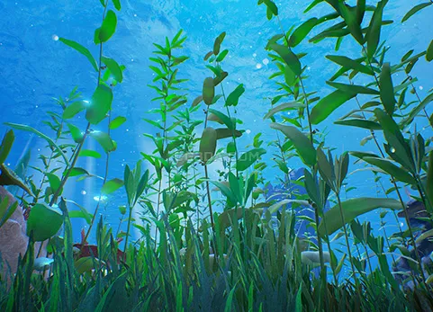 海底珊瑚礁-Reef Kit