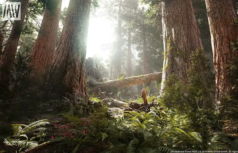 红木森林-MW Redwood Tree Forest Biome 4.1.0