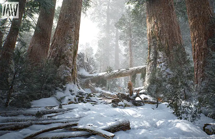 红木森林-MW Redwood Tree Forest Biome 4.1.0