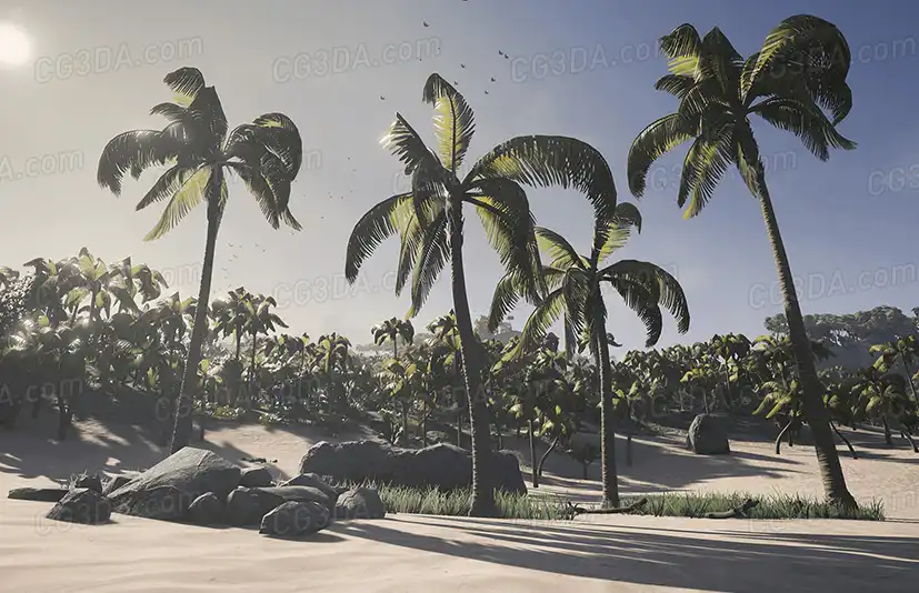 热带岛屿-Tropical Island Environment