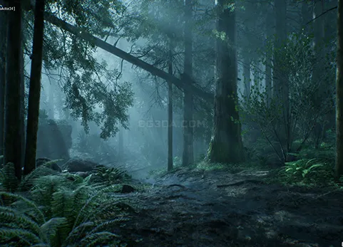 暮光森林-The Forest