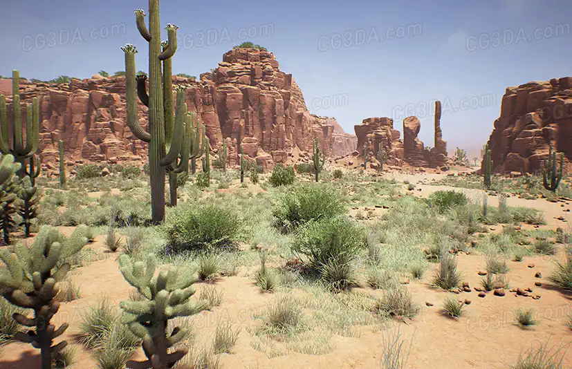沙漠峡谷-Red Desert Pack