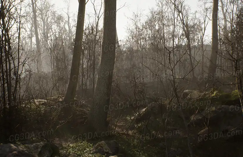枯木森林-Procedural Forest