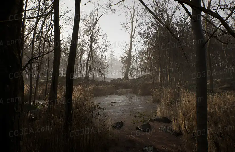 枯木森林-Procedural Forest