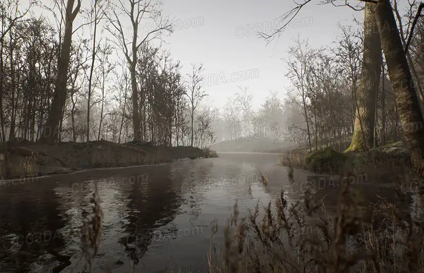 枯木森林-Procedural Forest