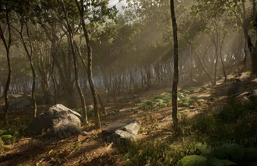 野外树林-Leaf Tree Forest Biome