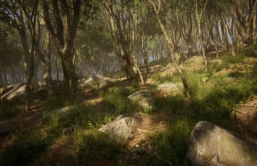 野外树林-Leaf Tree Forest Biome