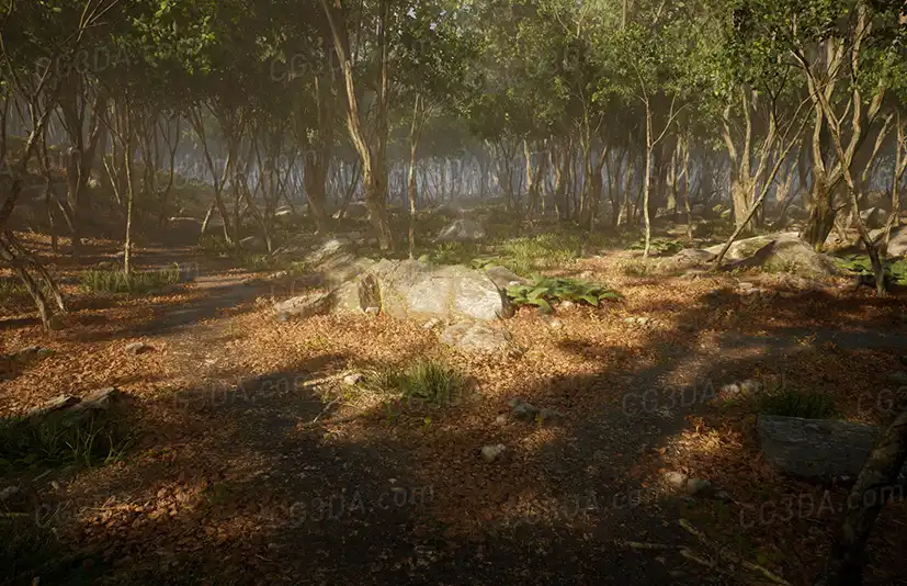 野外树林-Leaf Tree Forest Biome