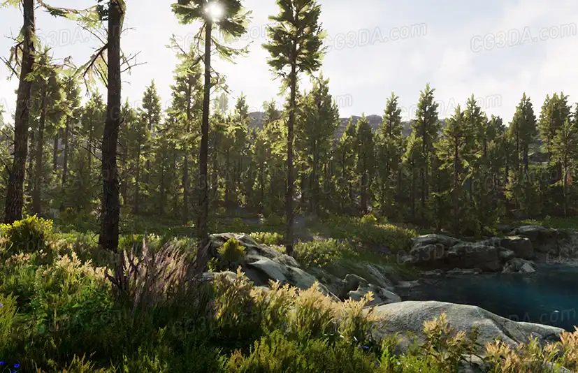 专业景观自然环境创建工具 - Landscape Pro 3 - Automatic Natural Environment Creation Tool