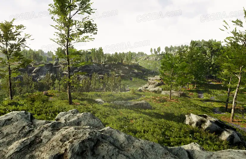 专业景观自然环境创建工具 - Landscape Pro 3 - Automatic Natural Environment Creation Tool