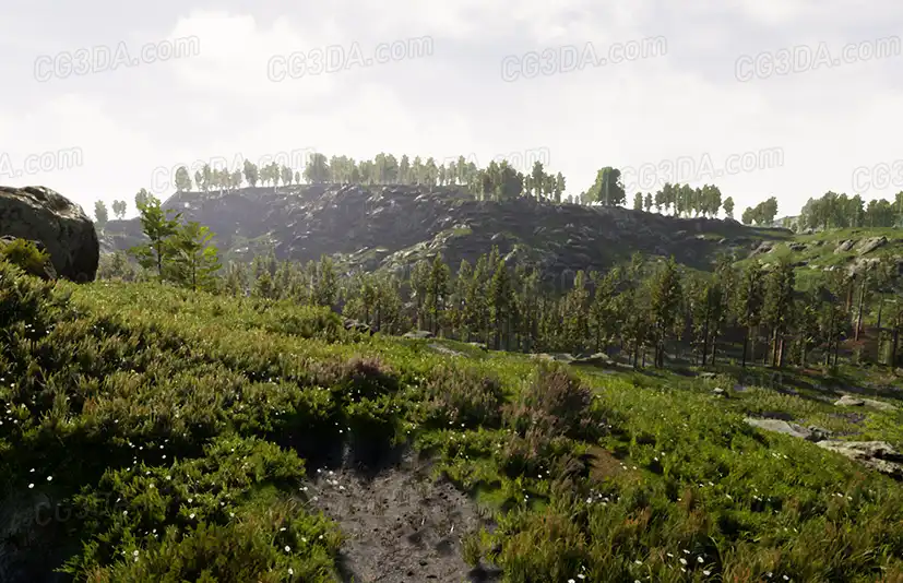专业景观自然环境创建工具 - Landscape Pro 3 - Automatic Natural Environment Creation Tool
