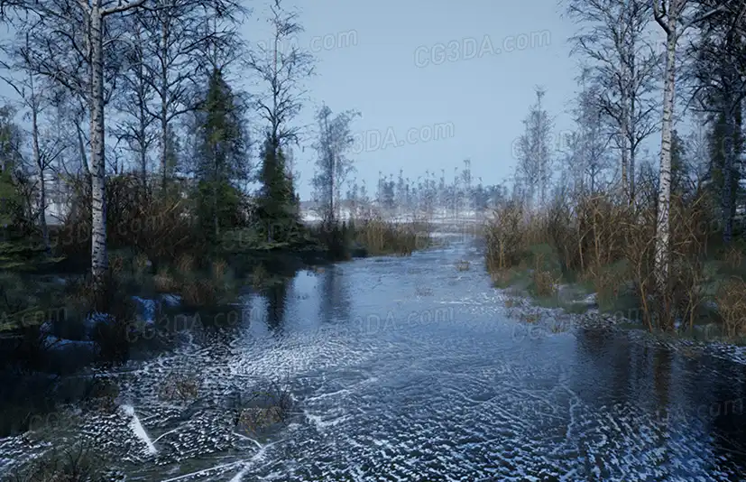 北方森林-Northern Forest