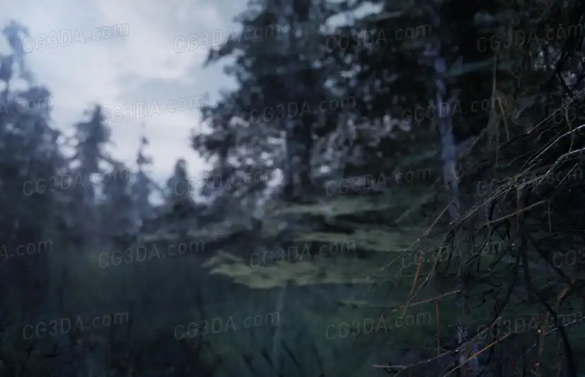 北方森林-Northern Forest