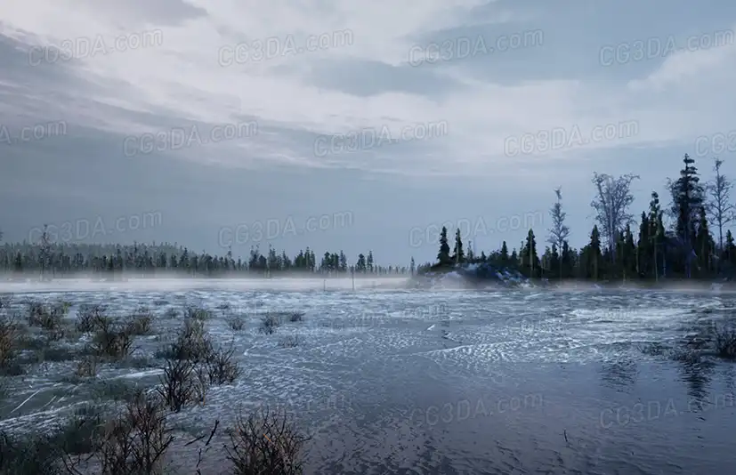 北方森林-Northern Forest