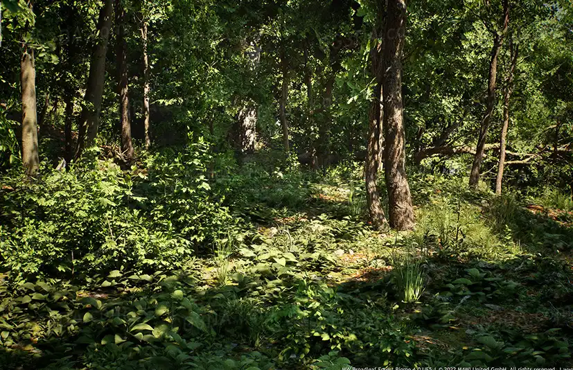 MW阔叶林生物群系-MW Broadleaf Tree Forest Biome v4.1.0