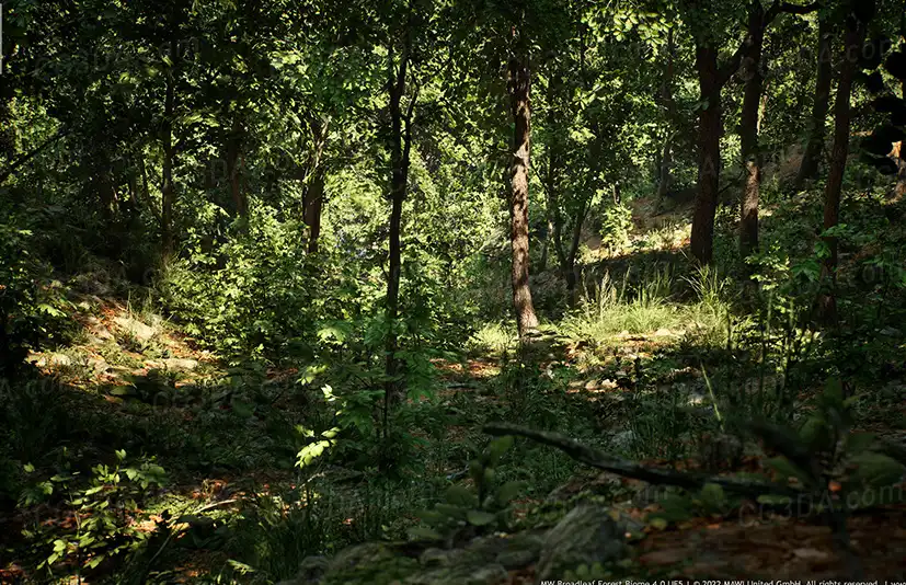 MW阔叶林生物群系-MW Broadleaf Tree Forest Biome v4.1.0