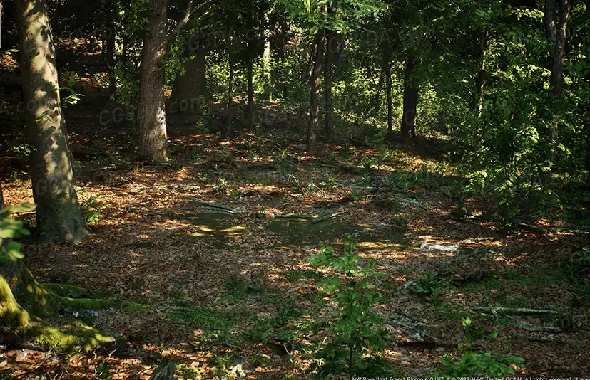 MW阔叶林生物群系-MW Broadleaf Tree Forest Biome v4.1.0