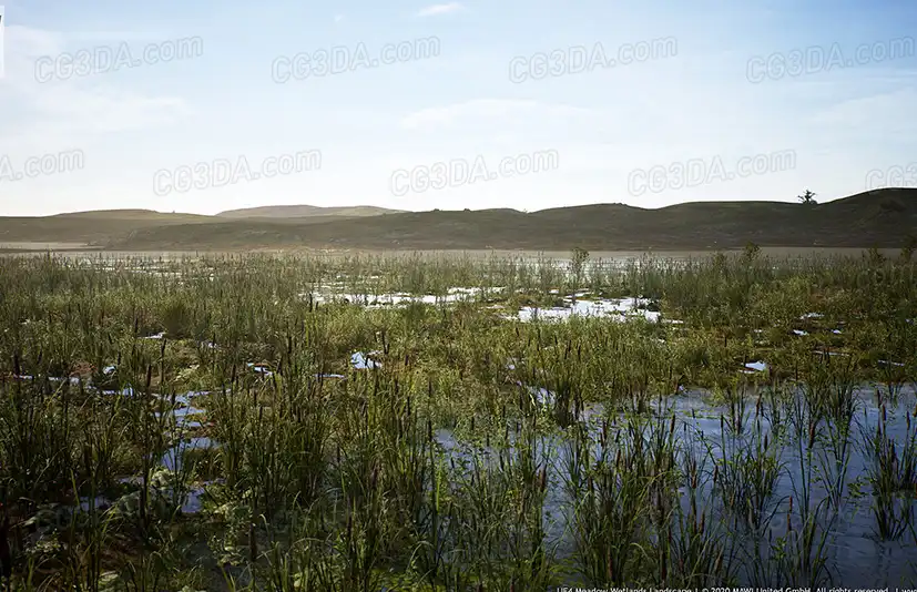 沼泽湿地-MW Meadow Wetlands Landscape
