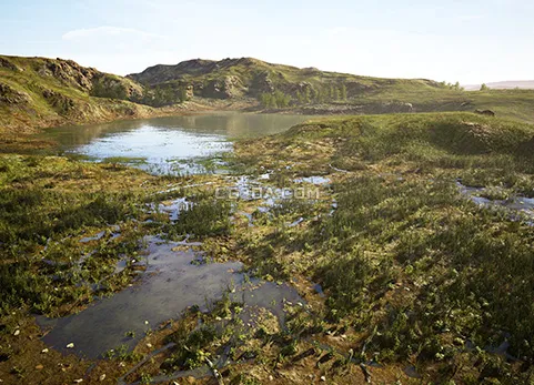 沼泽湿地-MW Meadow Wetlands Landscape