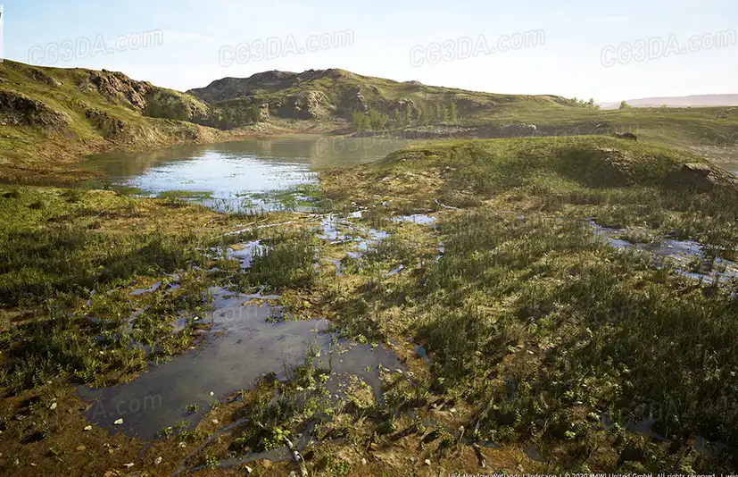 沼泽湿地-MW Meadow Wetlands Landscape