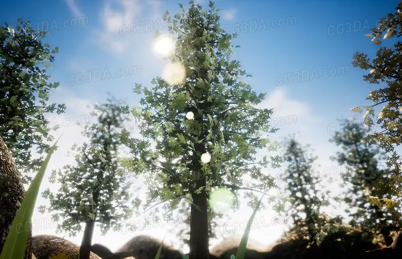 花草树木-Forest pack. Easy landscape with plants and flowers
