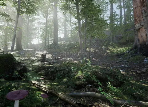 溪流树木-Forest - Environment Set