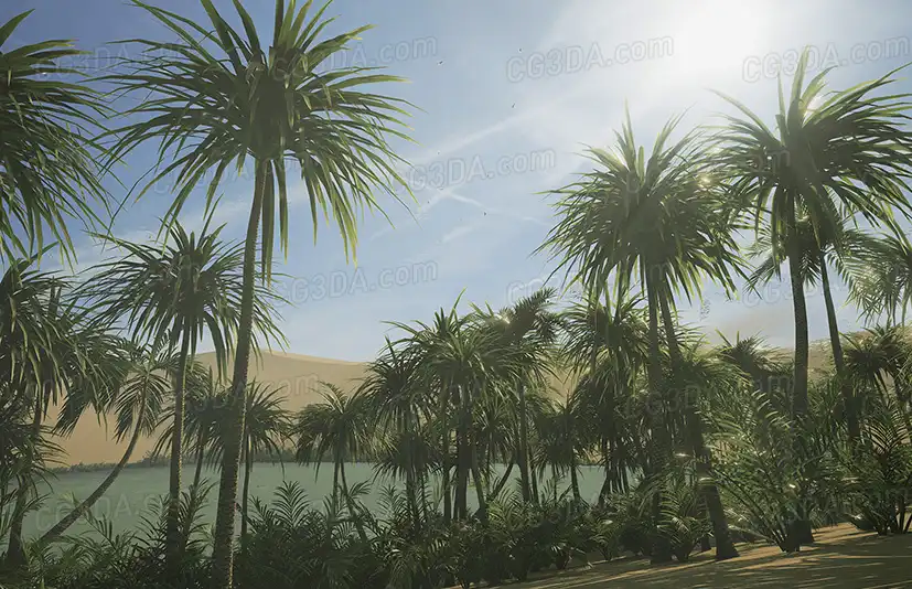 沙漠绿洲-Desert Oasis