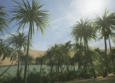 沙漠绿洲-Desert Oasis