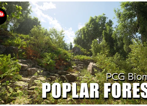 阔叶杨树林 PCG 生态群系 - Broadleaf Poplar Forest - PCG Biome