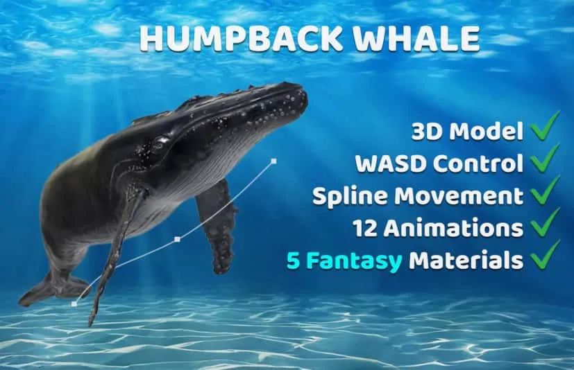 座头鲸角色模型带动画 Animated Humpback Whale