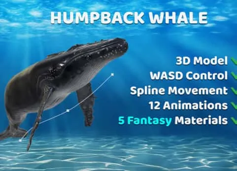 座头鲸角色模型带动画 Animated Humpback Whale